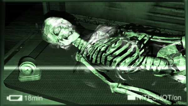 The Lost Crown screenshot 6