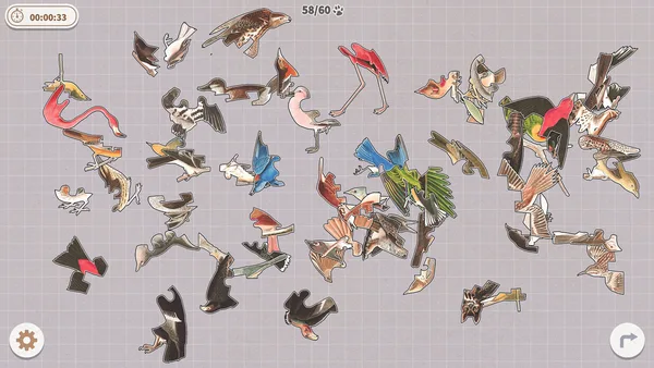 Birds Huddled Together screenshot 11