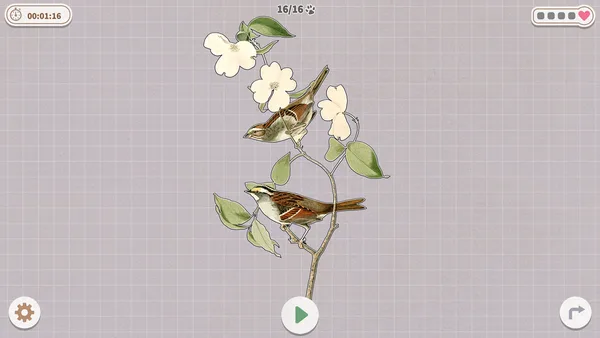 Birds Huddled Together screenshot 4