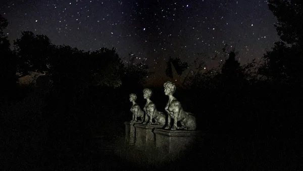 White Noise Online screenshot 9