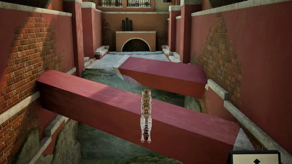Screenshot 1 di Curiosity: A Cat Climbing Game