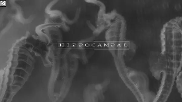 Hippocampal: The White Sofa screenshot 5