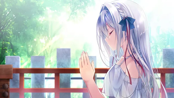 Screenshot 5 di 流る星 -a wish star-