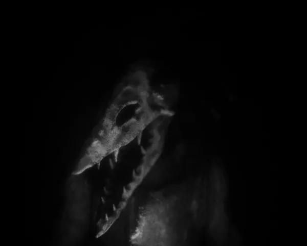 Daemonologie screenshot 6