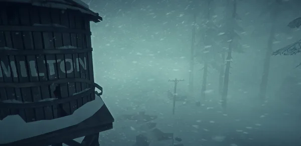 The Long Dark screenshot 3