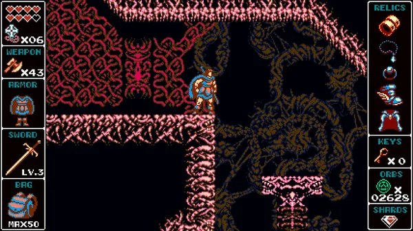 Odallus: The Dark Call screenshot 15
