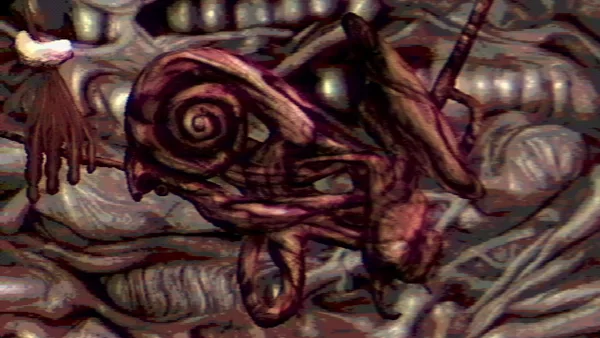 Navicula Meatus screenshot 5