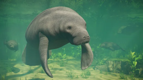 Screenshot 11 di Planet Zoo 2