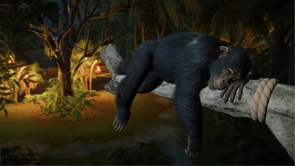 Screenshot 13 di Planet Zoo 2