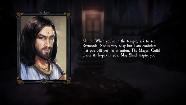 Dungeon Kingdom: Sign of the Moon screenshot 4