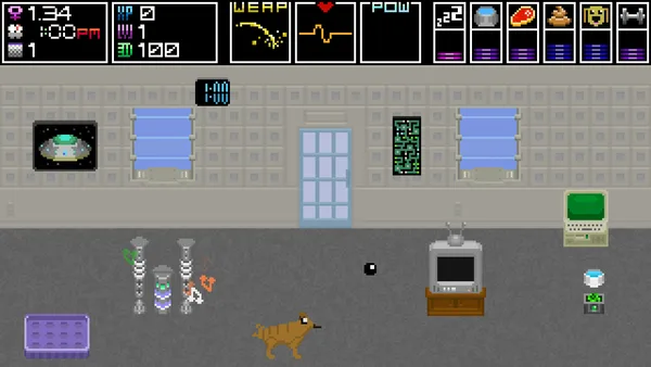 Domestic Dog screenshot 11