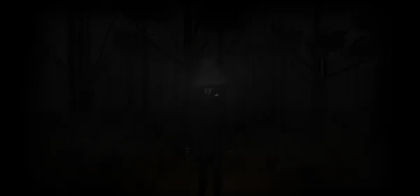 Lost in a Forest screenshot 16