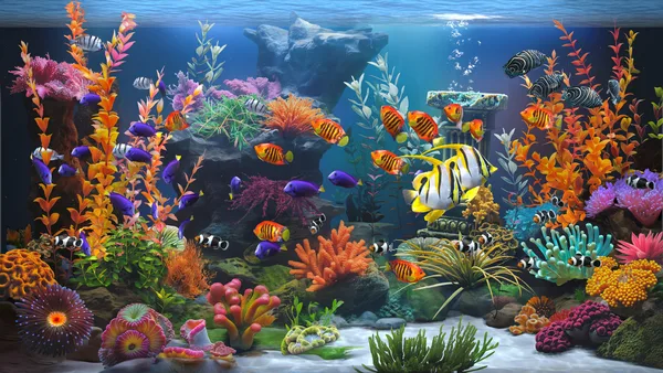 Zen Aquarium screenshot 1