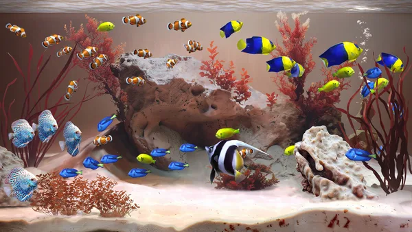 Zen Aquarium screenshot 2