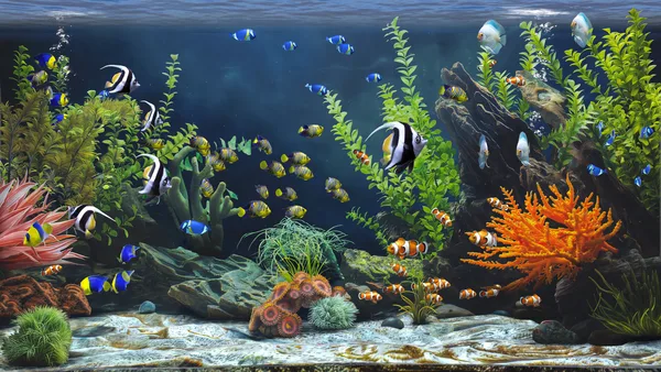 Zen Aquarium screenshot 3