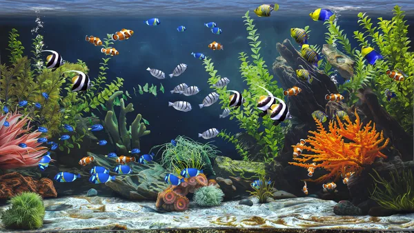 Zen Aquarium screenshot 6