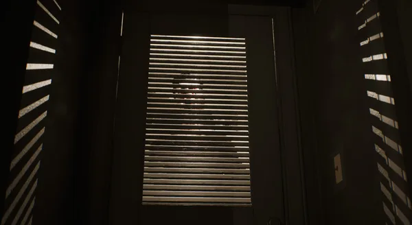 Lost Luminosity screenshot 9