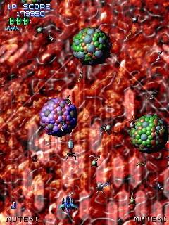 XIIZEAL screenshot 9