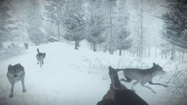 Kona screenshot 7