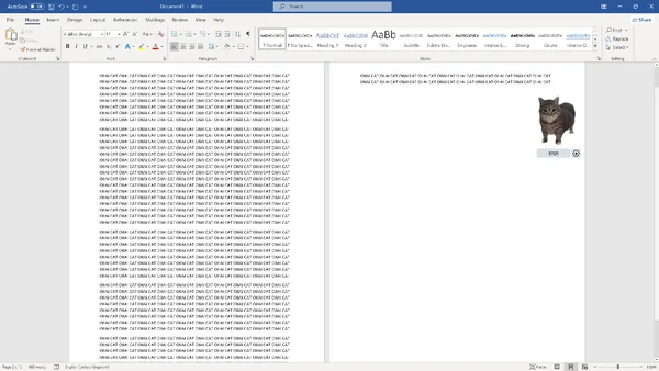 OiiAi Cat screenshot 4