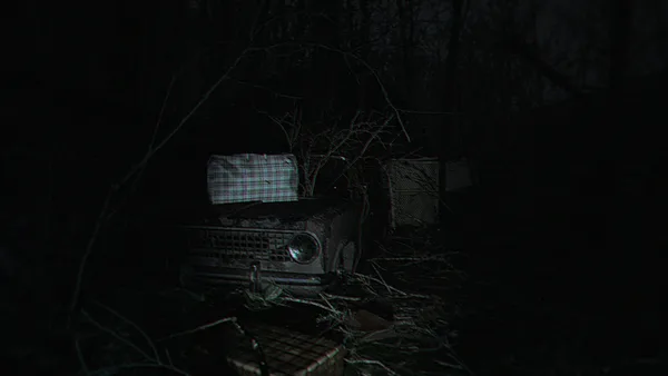 Screenshot 3 di The Strange Lights