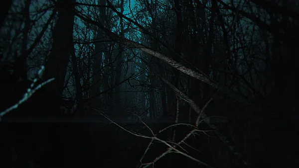 Screenshot 9 di The Strange Lights