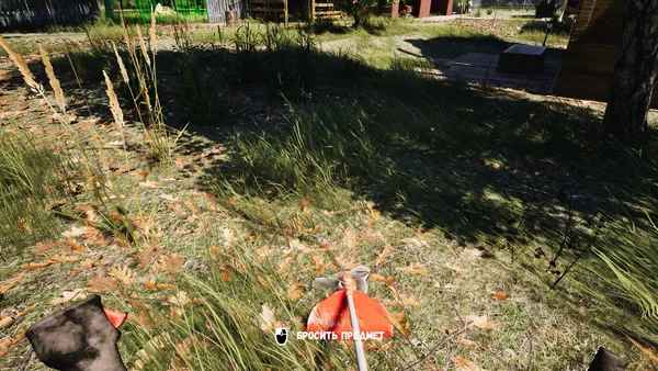 DACHA screenshot 3