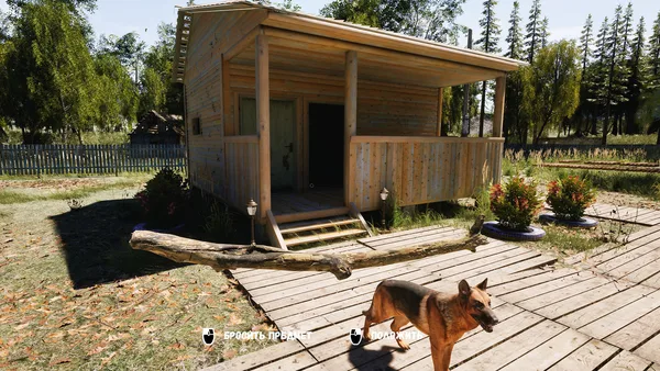 DACHA screenshot 5