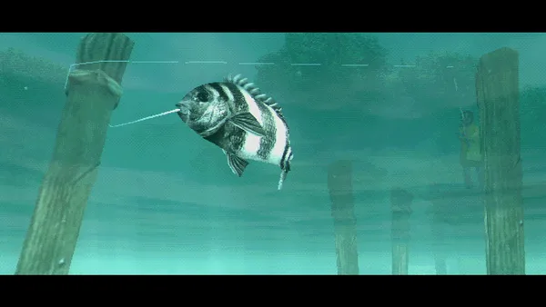 About Fishing screenshot 6