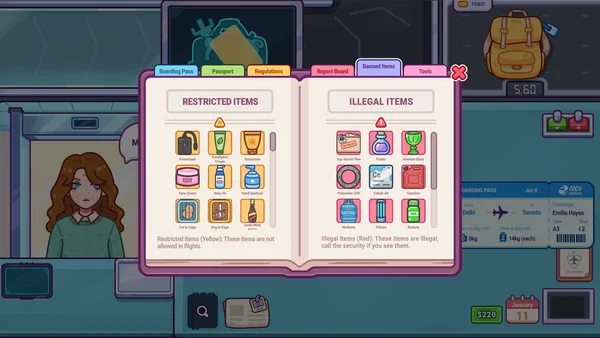 Nothing To Declare screenshot 11