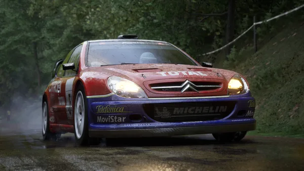Assetto Corsa Rally screenshot 100