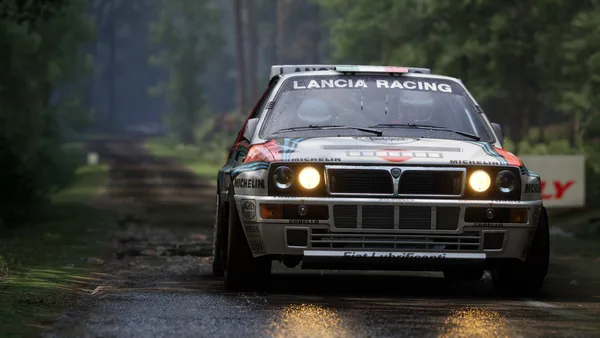 Assetto Corsa Rally screenshot 103