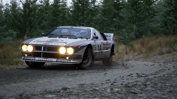 Assetto Corsa Rally screenshot 107