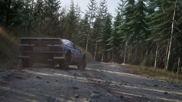 Assetto Corsa Rally screenshot 109
