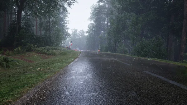 Assetto Corsa Rally screenshot 113
