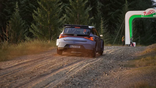 Assetto Corsa Rally screenshot 119