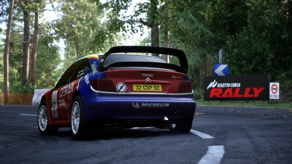 Assetto Corsa Rally screenshot 124