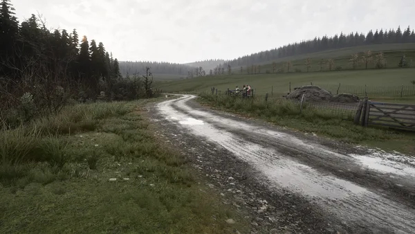 Assetto Corsa Rally screenshot 128