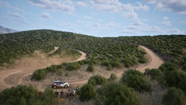 Assetto Corsa Rally screenshot 13