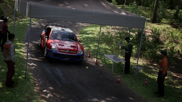 Assetto Corsa Rally screenshot 130