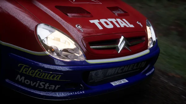 Assetto Corsa Rally screenshot 131