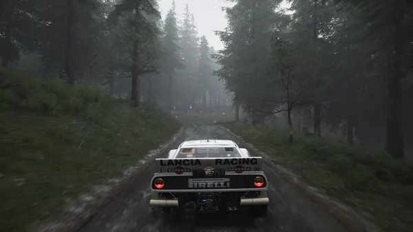 Assetto Corsa Rally screenshot 135