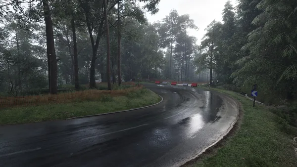 Assetto Corsa Rally screenshot 136