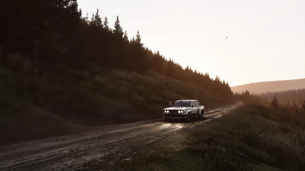 Assetto Corsa Rally screenshot 137