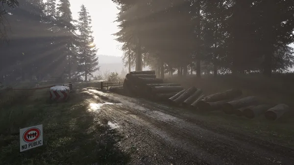 Assetto Corsa Rally screenshot 138