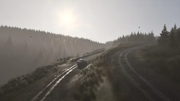 Assetto Corsa Rally screenshot 139