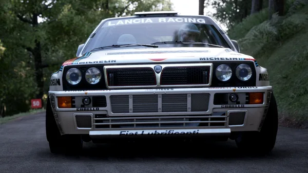Assetto Corsa Rally screenshot 148