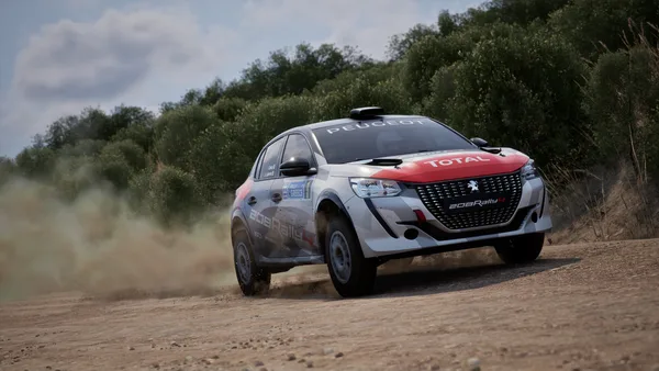 Assetto Corsa Rally screenshot 15