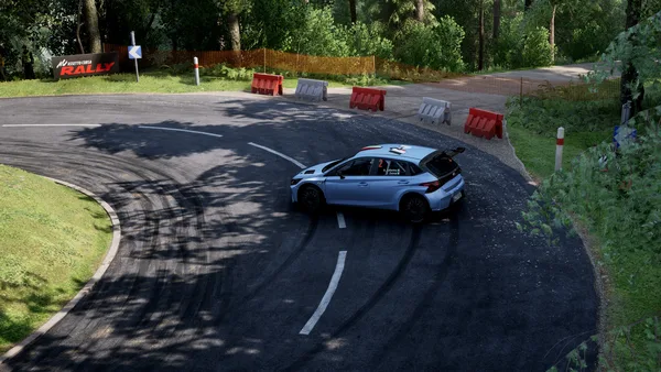 Assetto Corsa Rally screenshot 159