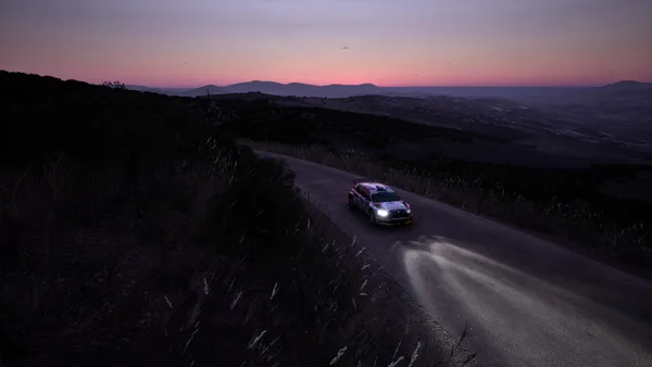 Assetto Corsa Rally screenshot 18